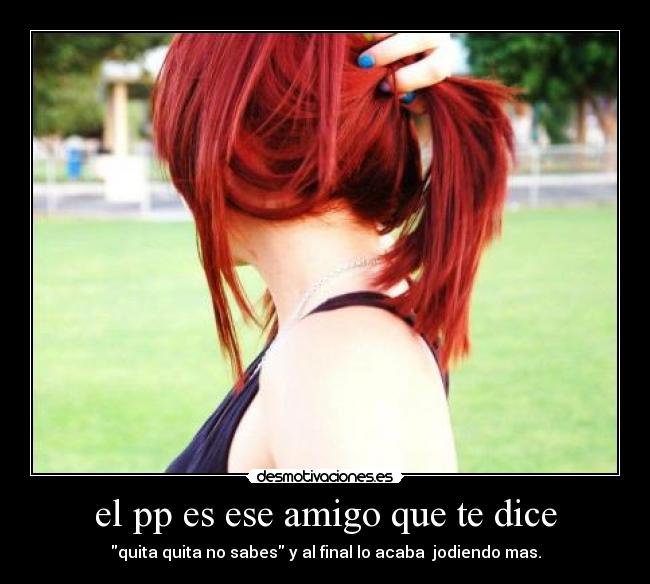 el pp es ese amigo que te dice - 