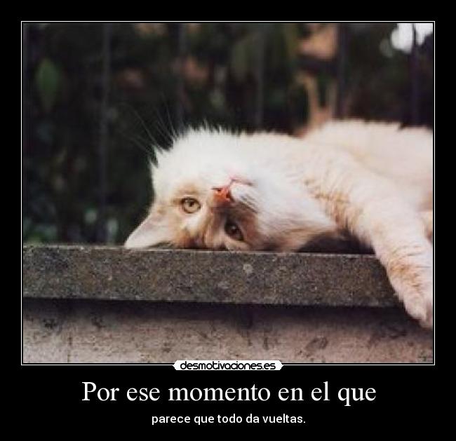 Por ese momento en el que - parece que todo da vueltas.