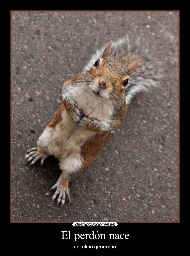 El perdón nace - del alma generosa.