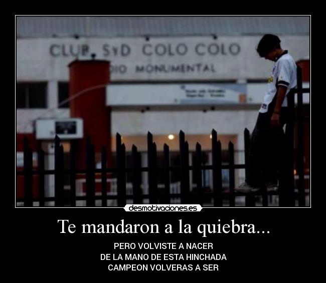 Te mandaron a la quiebra... - PERO VOLVISTE A NACER
DE LA MANO DE ESTA HINCHADA
CAMPEON VOLVERAS A SER