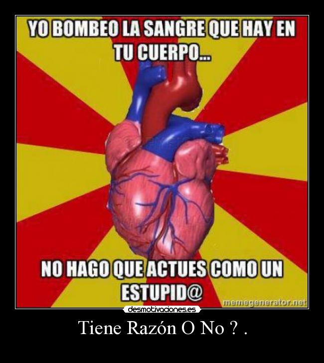 Tiene Razón O No ? . -