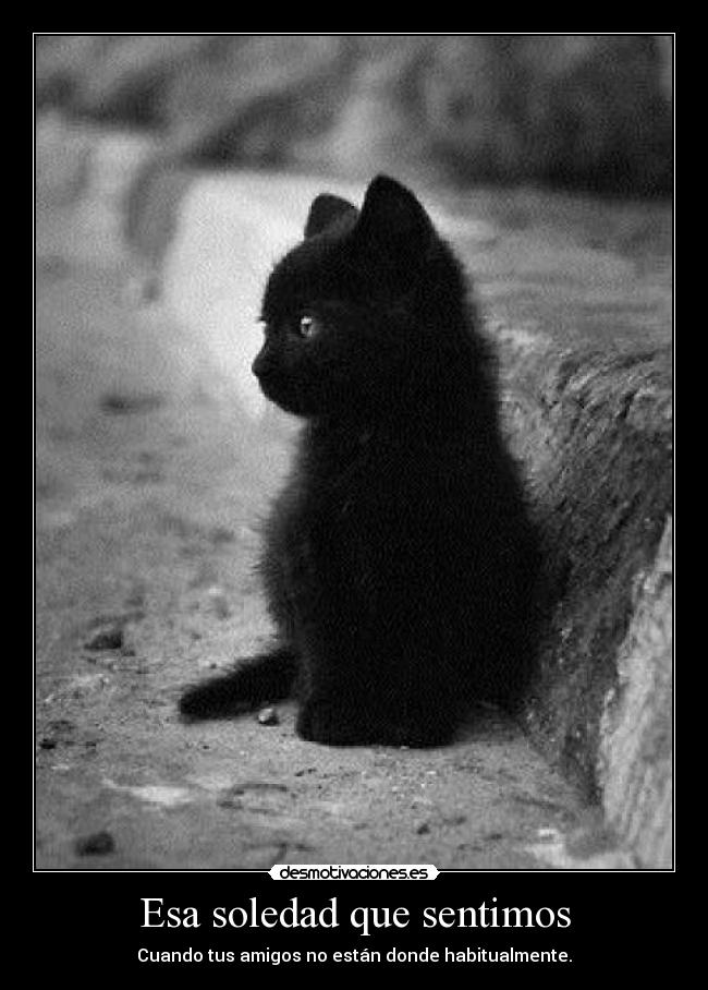 Esa soledad que sentimos - Cuando tus amigos no están donde habitualmente.