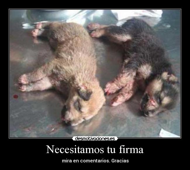 Necesitamos tu firma -