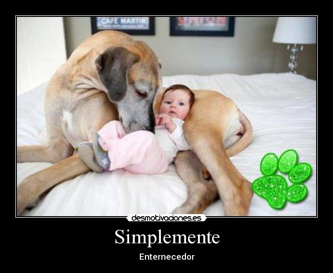 Simplemente - Enternecedor