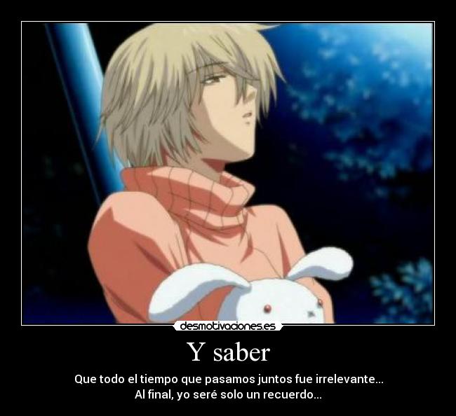 Y saber - 