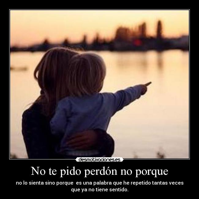 No te pido perdón no porque - 