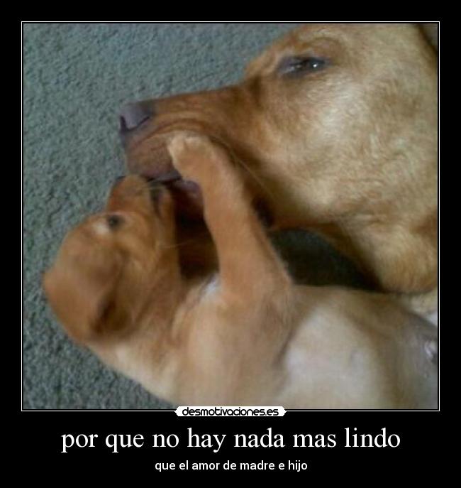 por que no hay nada mas lindo -