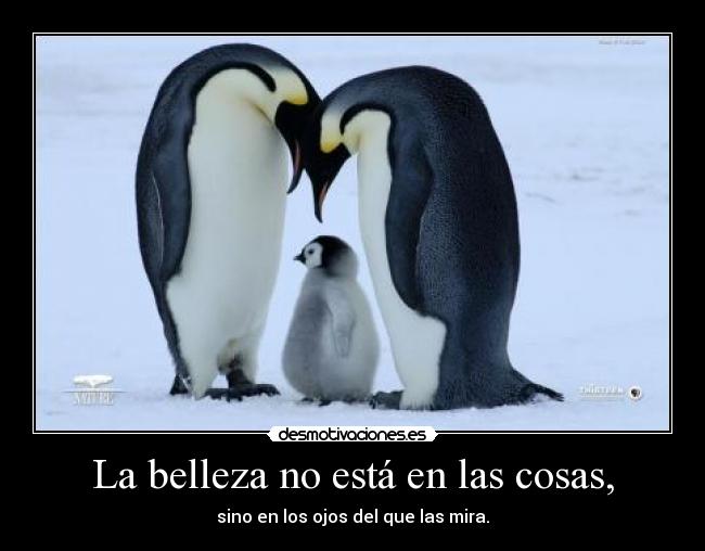 La belleza no está en las cosas, - sino en los ojos del que las mira.