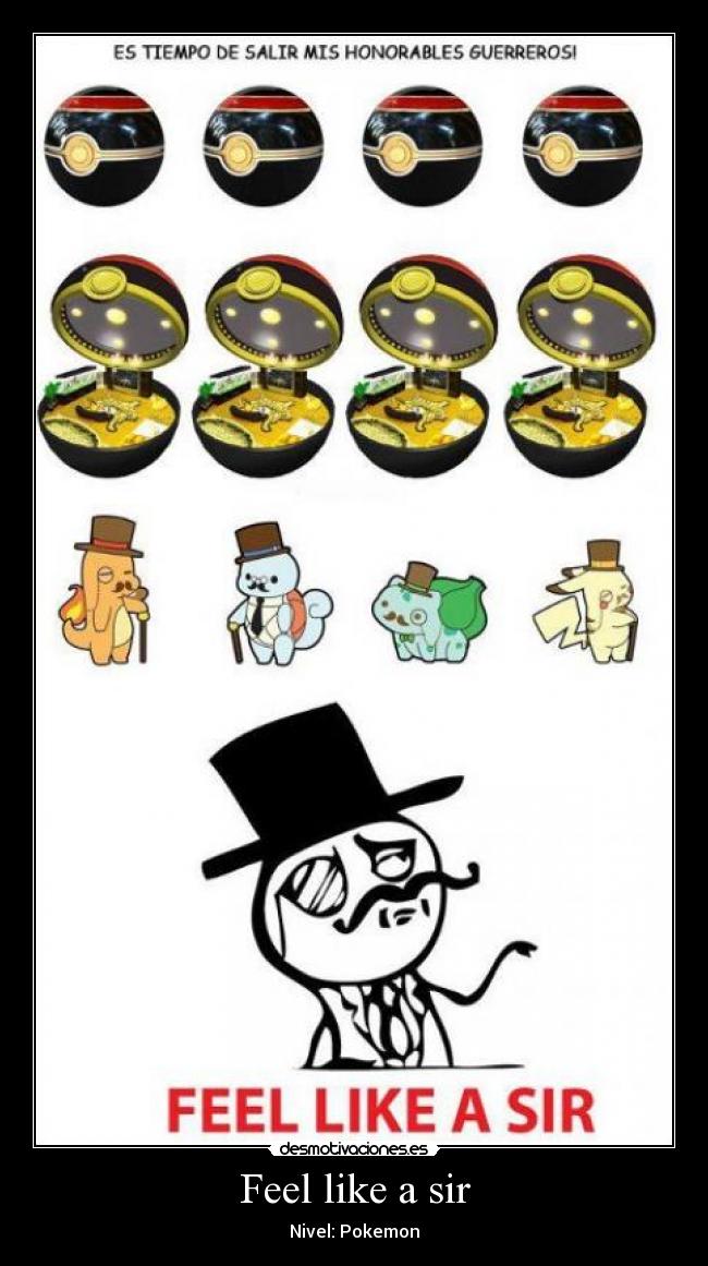 Feel like a sir - 