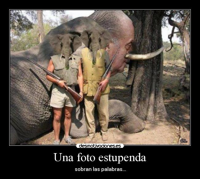 Una foto estupenda - 