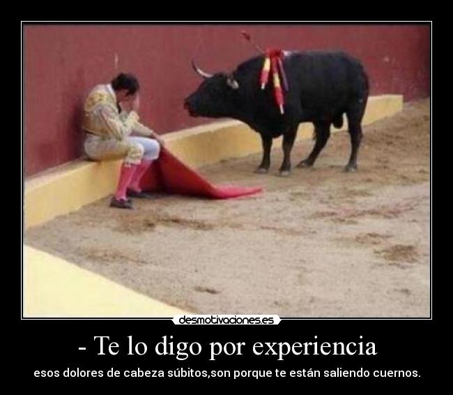 Imágenes y Carteles de PALOS Pag. 9 Desmotivaciones