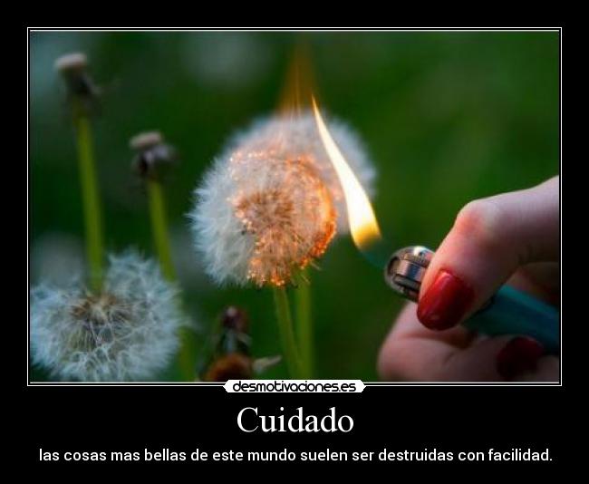 Cuidado - las cosas mas bellas de este mundo suelen ser destruidas con facilidad.