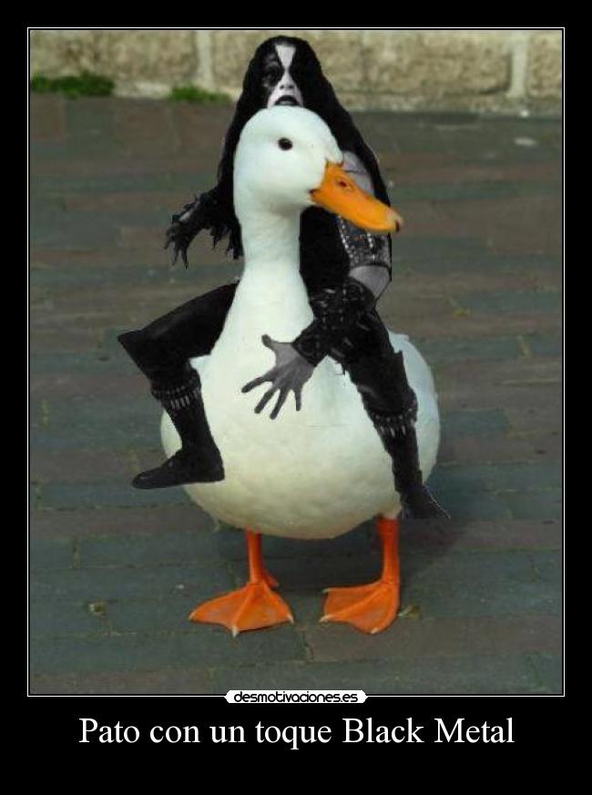 Pato con un toque Black Metal -