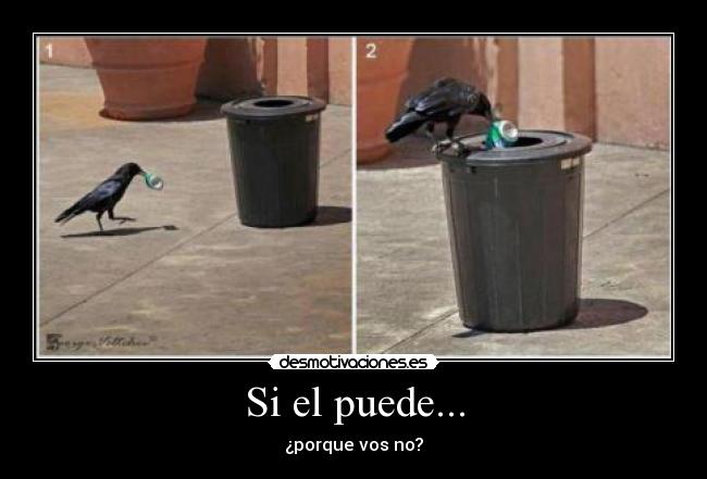 Si el puede... -