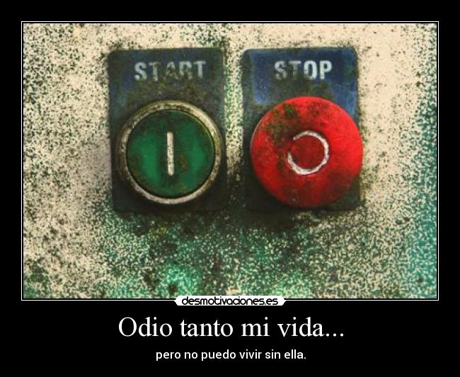 Odio tanto mi vida... -