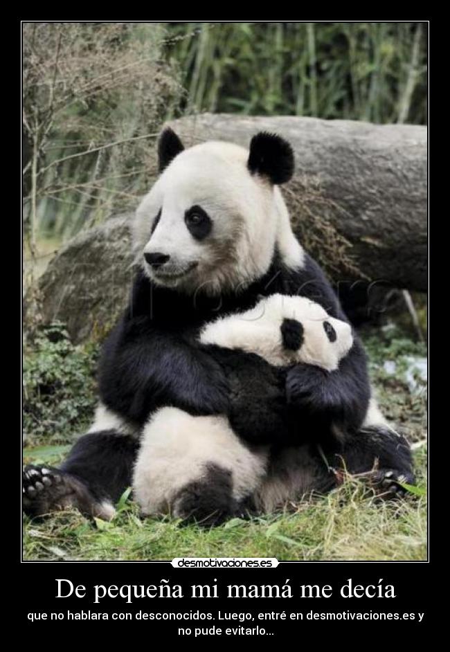 De pequeña mi mamá me decía - 