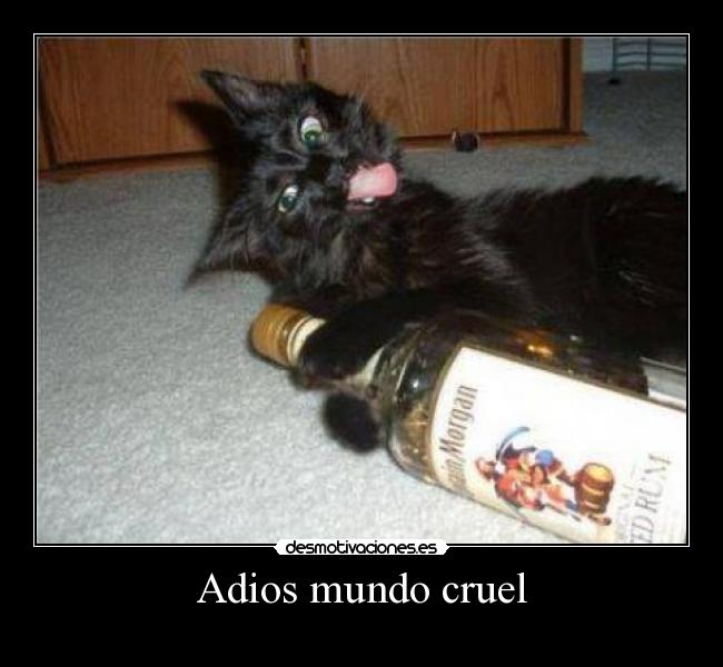 Adios mundo cruel -
