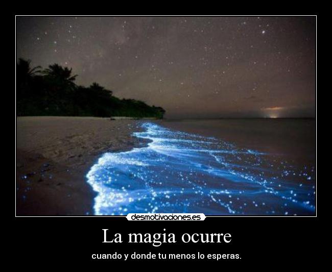 La magia ocurre - cuando y donde tu menos lo esperas.