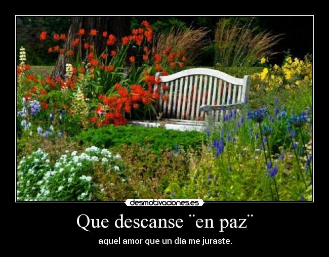 que descanse en paz desmotivaciones