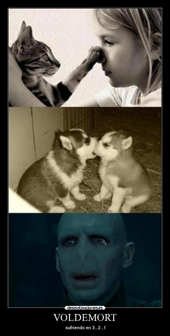 VOLDEMORT -