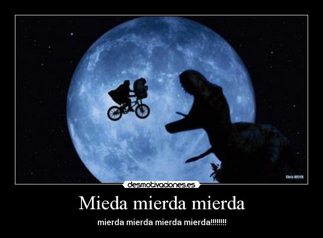 Mieda mierda mierda - mierda mierda mierda mierda!!!!!!!!