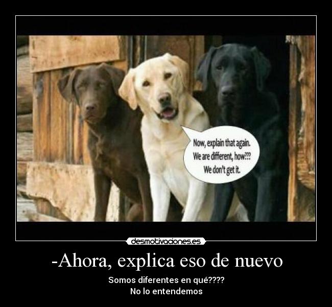 -Ahora, explica eso de nuevo - Somos diferentes en qué????
No lo entendemos