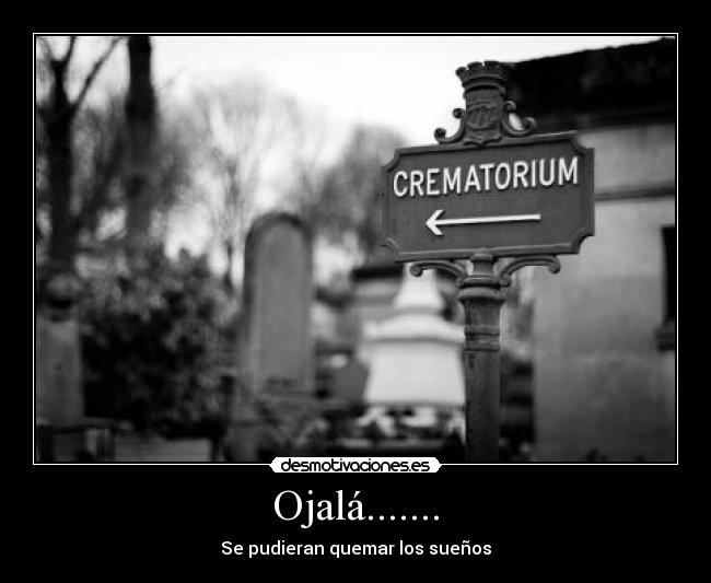 Ojalá....... - 