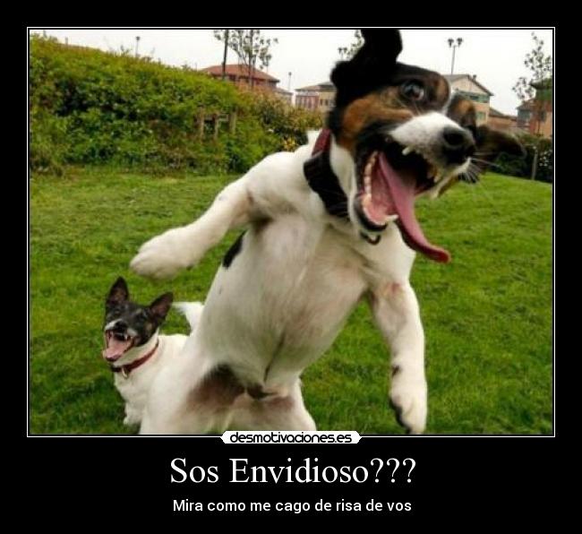 Sos Envidioso??? - Mira como me cago de risa de vos
