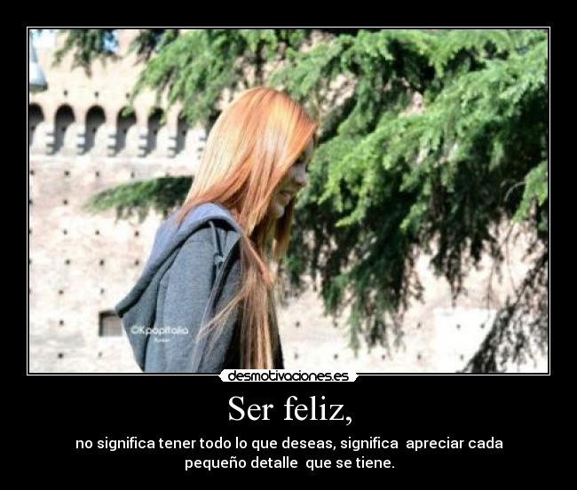 carteles tener todo importante para ser feliz desmotivaciones