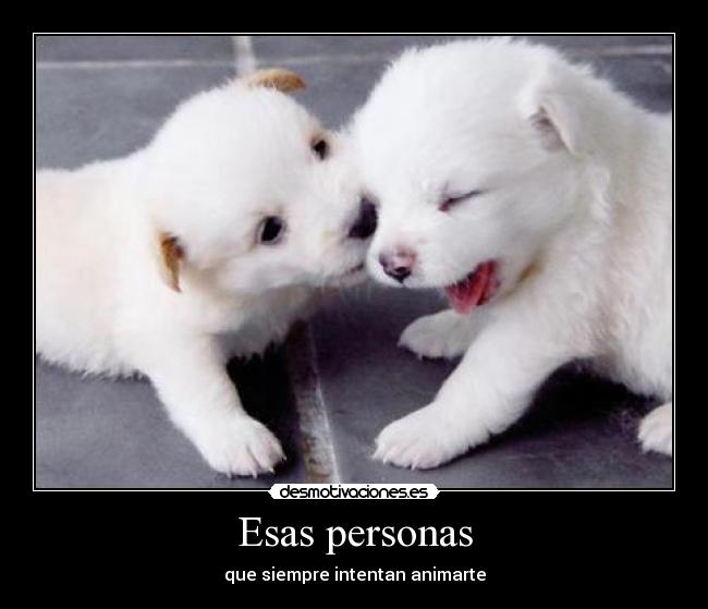 Esas personas - que siempre intentan animarte