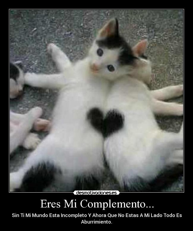 carteles sos otra parte desmotivaciones