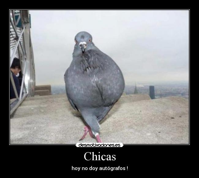 Chicas - hoy no doy autógrafos !