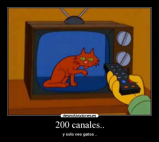 200 canales.. - y solo veo gatos ..