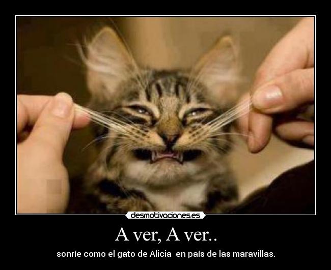 A ver, A ver.. -