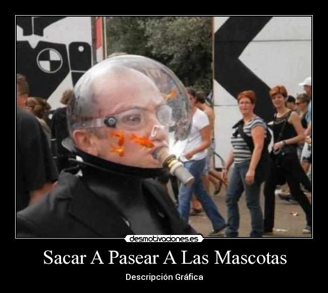 Sacar A Pasear A Las Mascotas - Descripción Gráfica