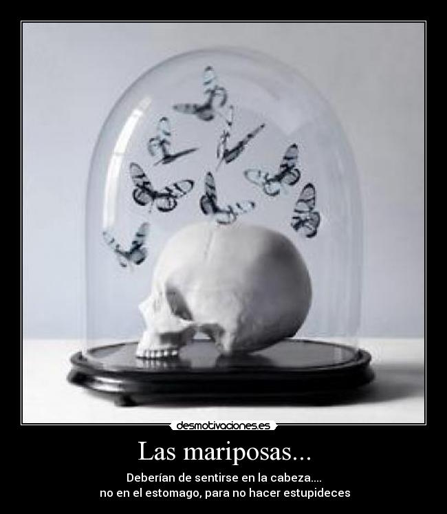 Las mariposas... - 