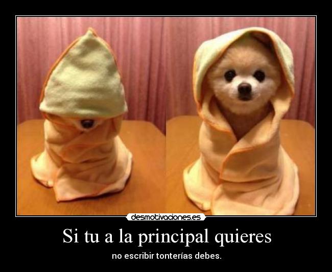 Si tu a la principal quieres -