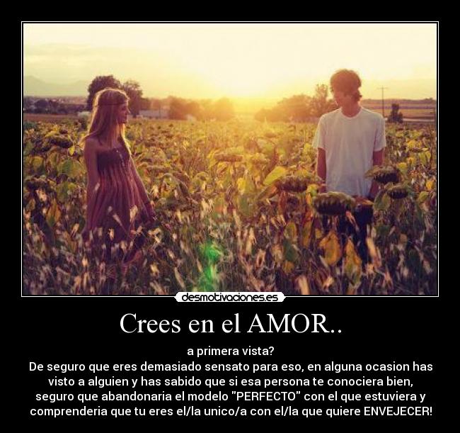 carteles amor ariidefaz desmotivaciones