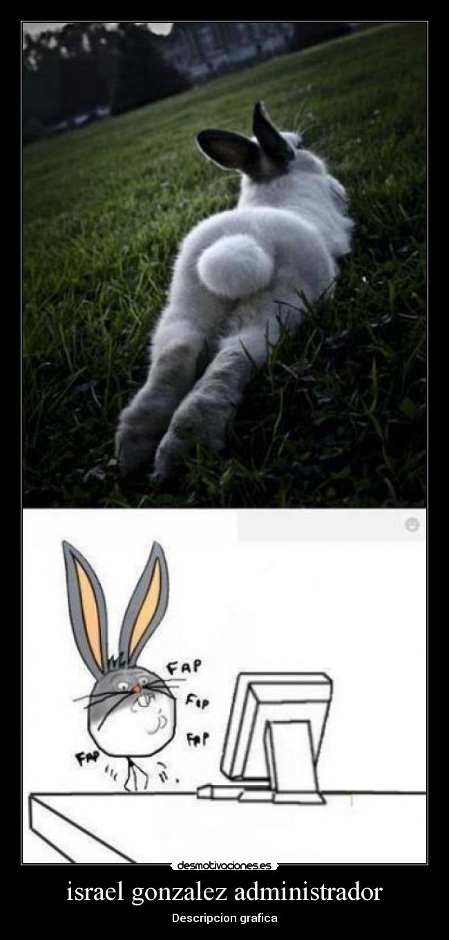 carteles xxd desmotivaciones