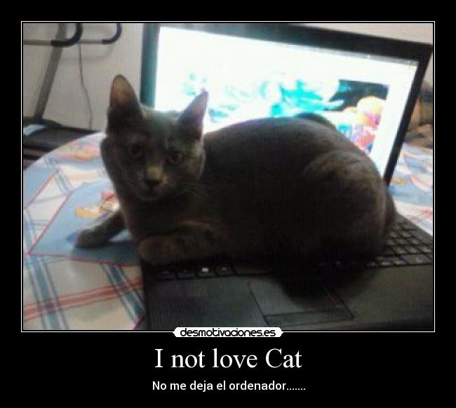 I not love Cat - No me deja el ordenador.......