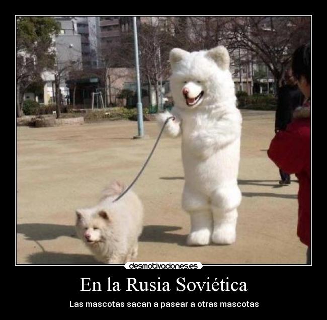 En la Rusia Soviética - Las mascotas sacan a pasear a otras mascotas