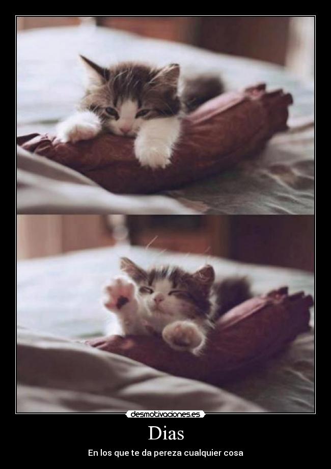 Dias - En los que te da pereza cualquier cosa