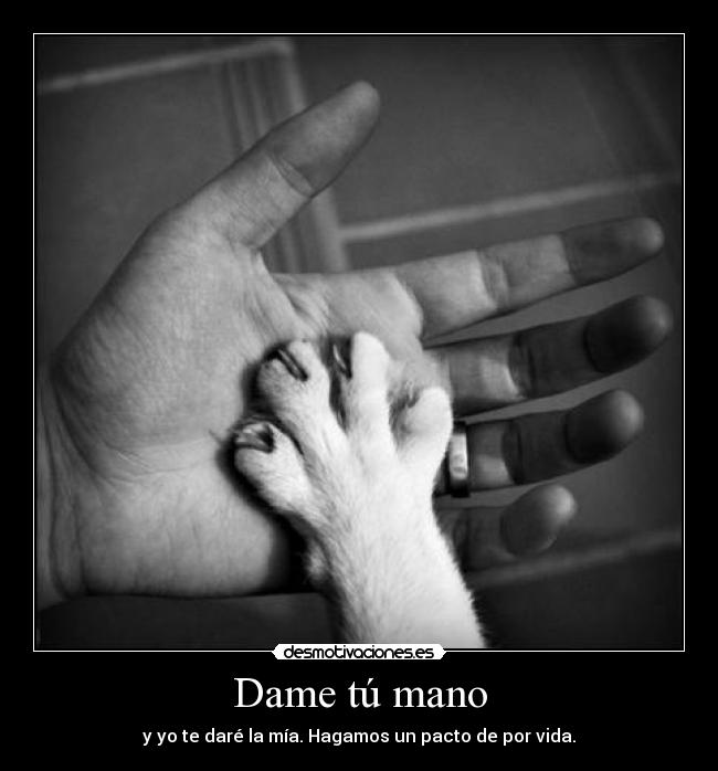 Dame tú mano - y yo te daré la mía. Hagamos un pacto de por vida.