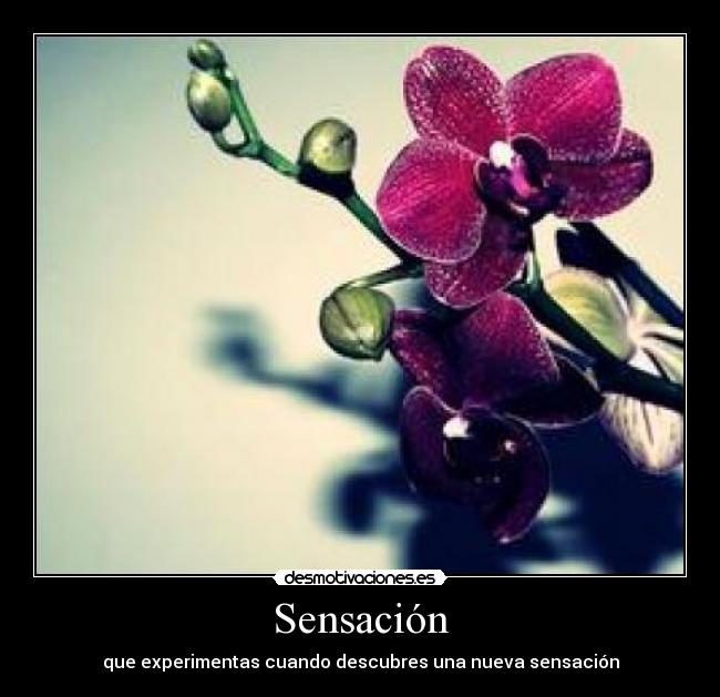 Sensación - que experimentas cuando descubres una nueva sensación