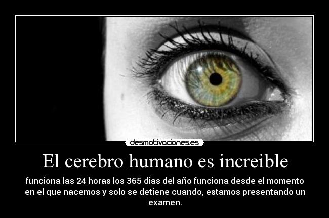 El cerebro humano es increible - funciona las 24 horas los 365 dias del año funciona desde el momento
en el que nacemos y solo se detiene cuando, estamos presentando un
examen.