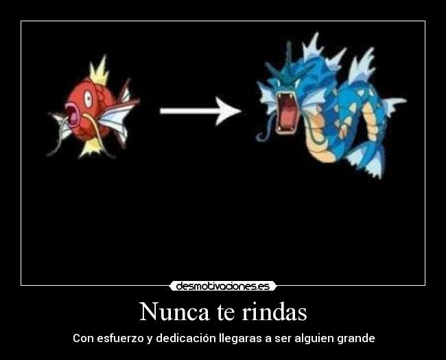 Nunca te rindas - Con esfuerzo y dedicación llegaras a ser alguien grande