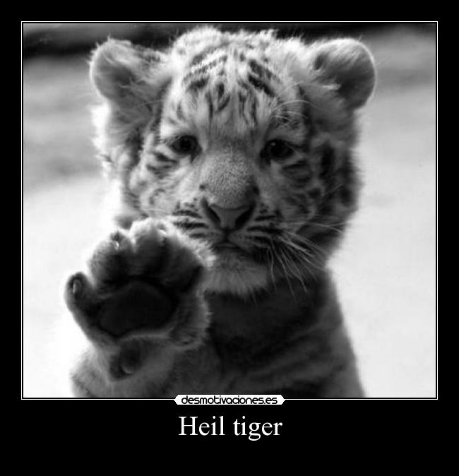 Heil tiger -