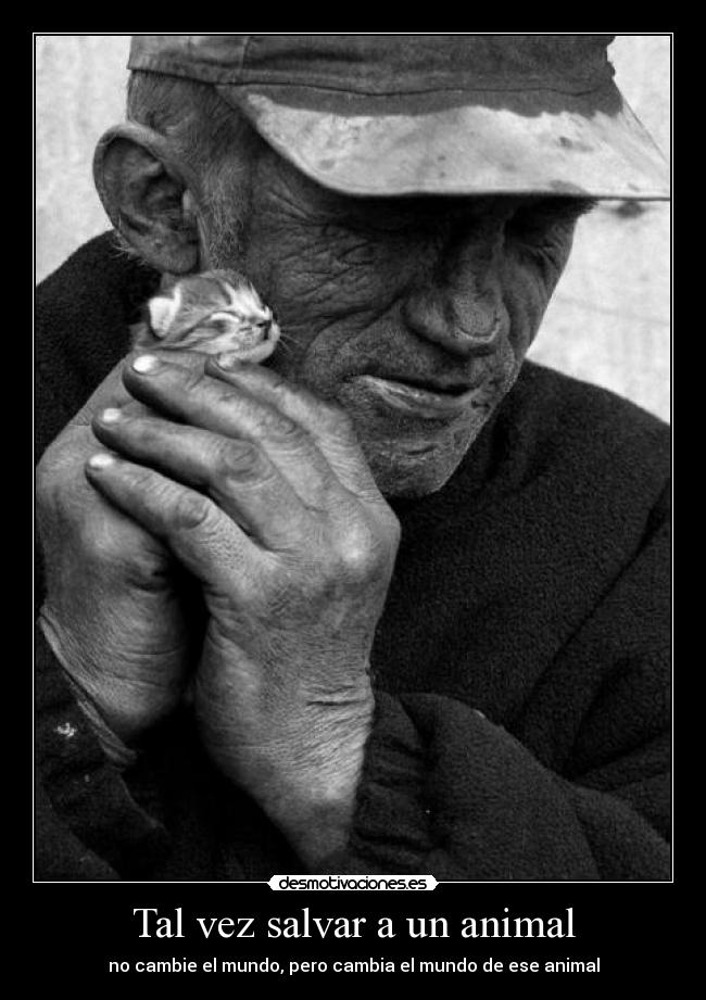 Tal vez salvar a un animal -