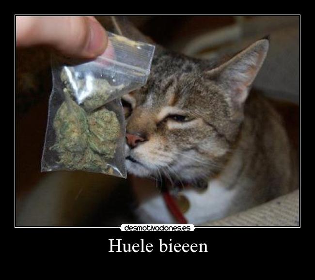 Huele bieeen - 