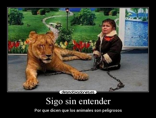 Sigo sin entender - Por que dicen que los animales son peligrosos